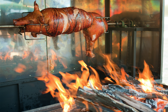 Berkshire roaster pig on BBQ spit